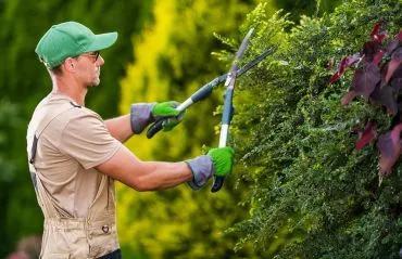 Professional Garden Plant Cutting Services by Dan's Cleaning